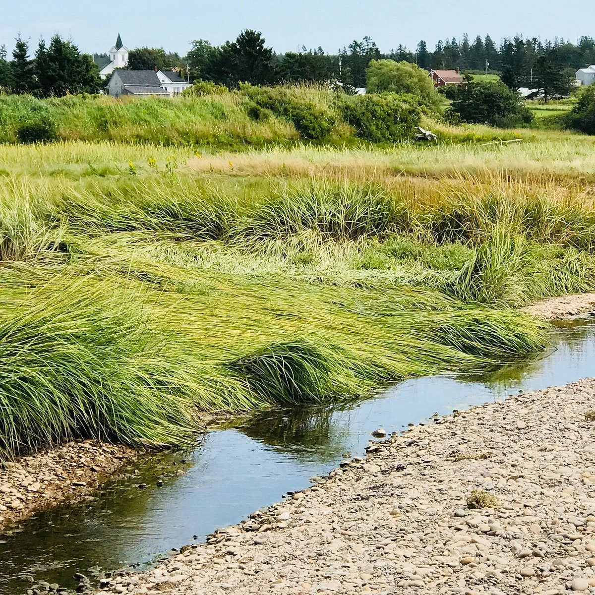 Scots Bay Provincial Park