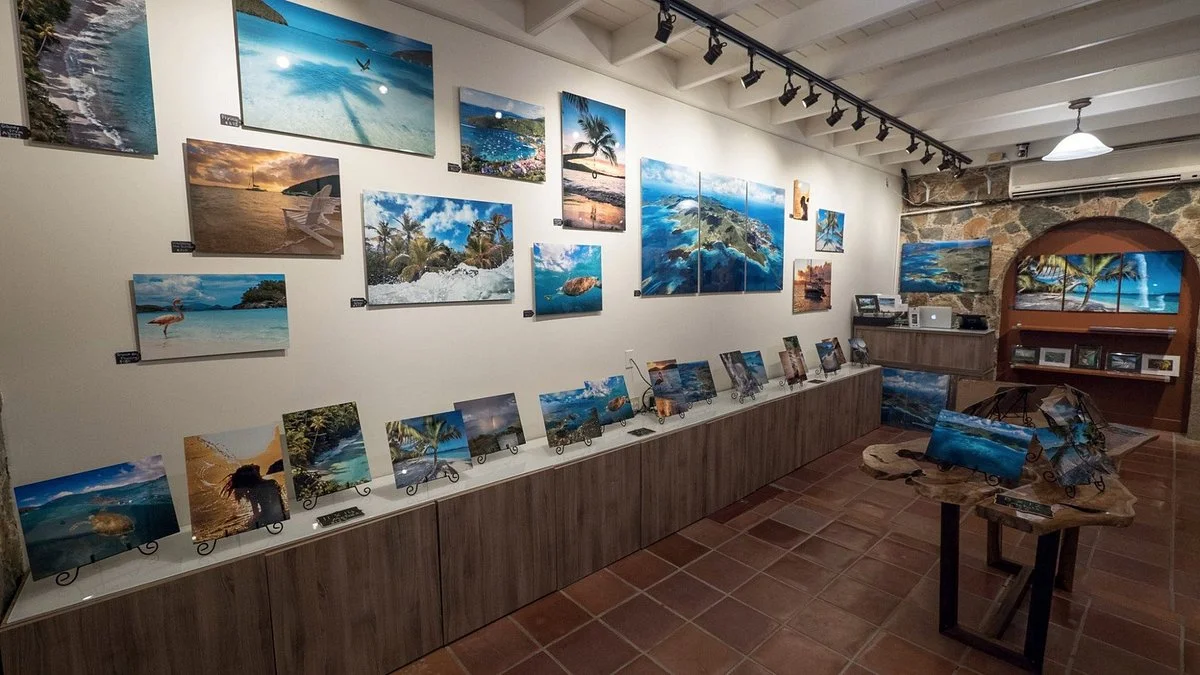 St. John Experience Gallery
