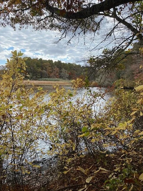 Mashpee River Reservation