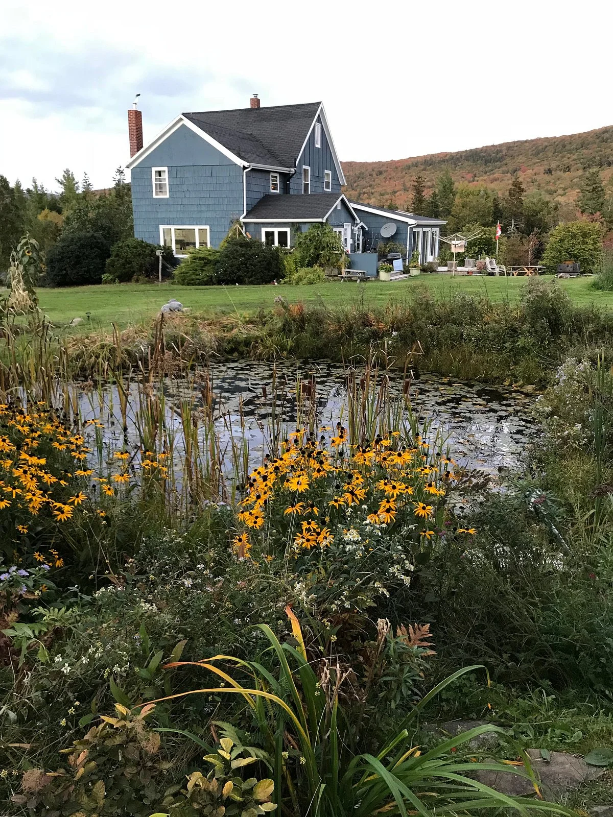 Old Miller Trout Farm