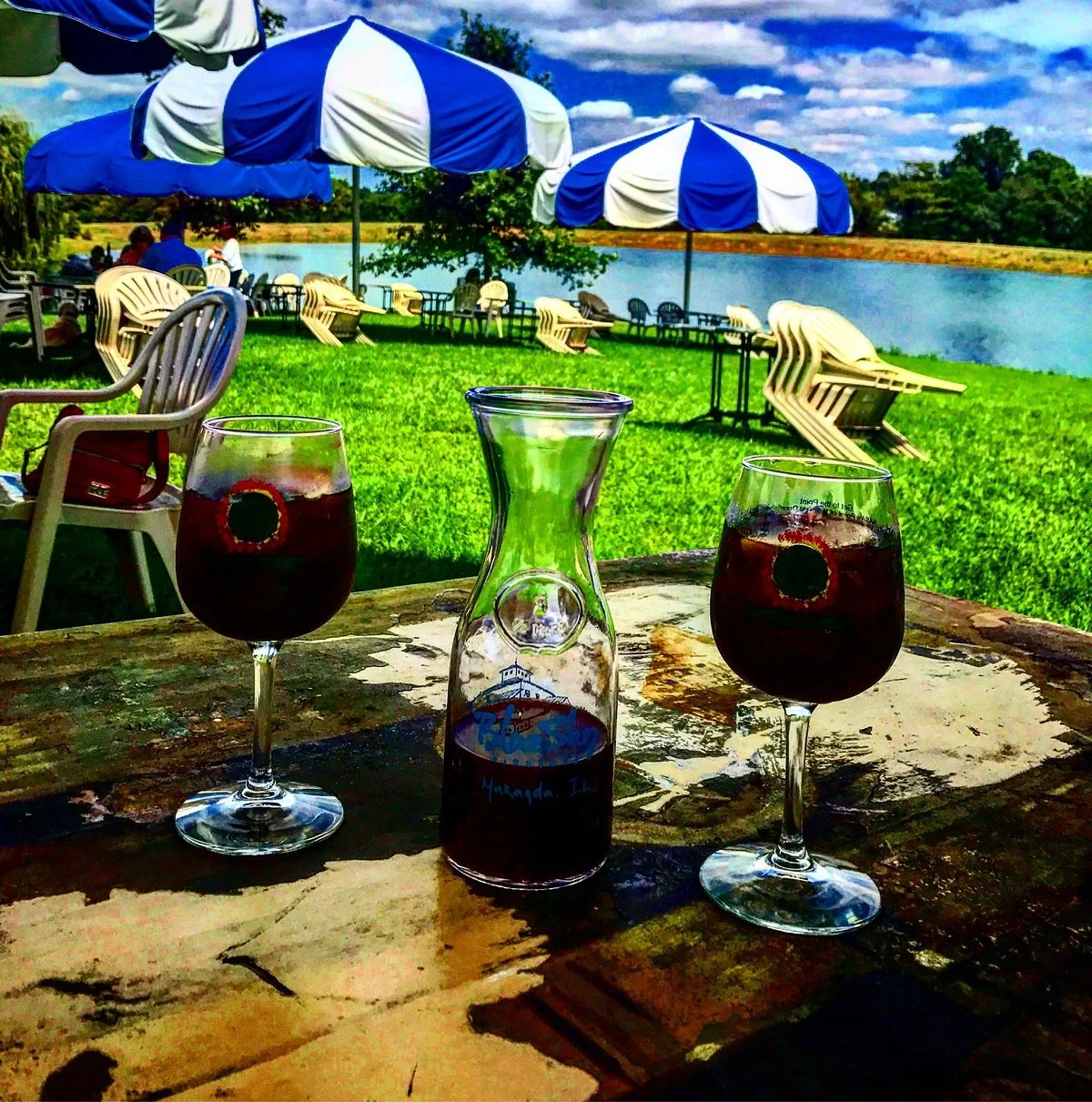 Blue Sky Vineyard