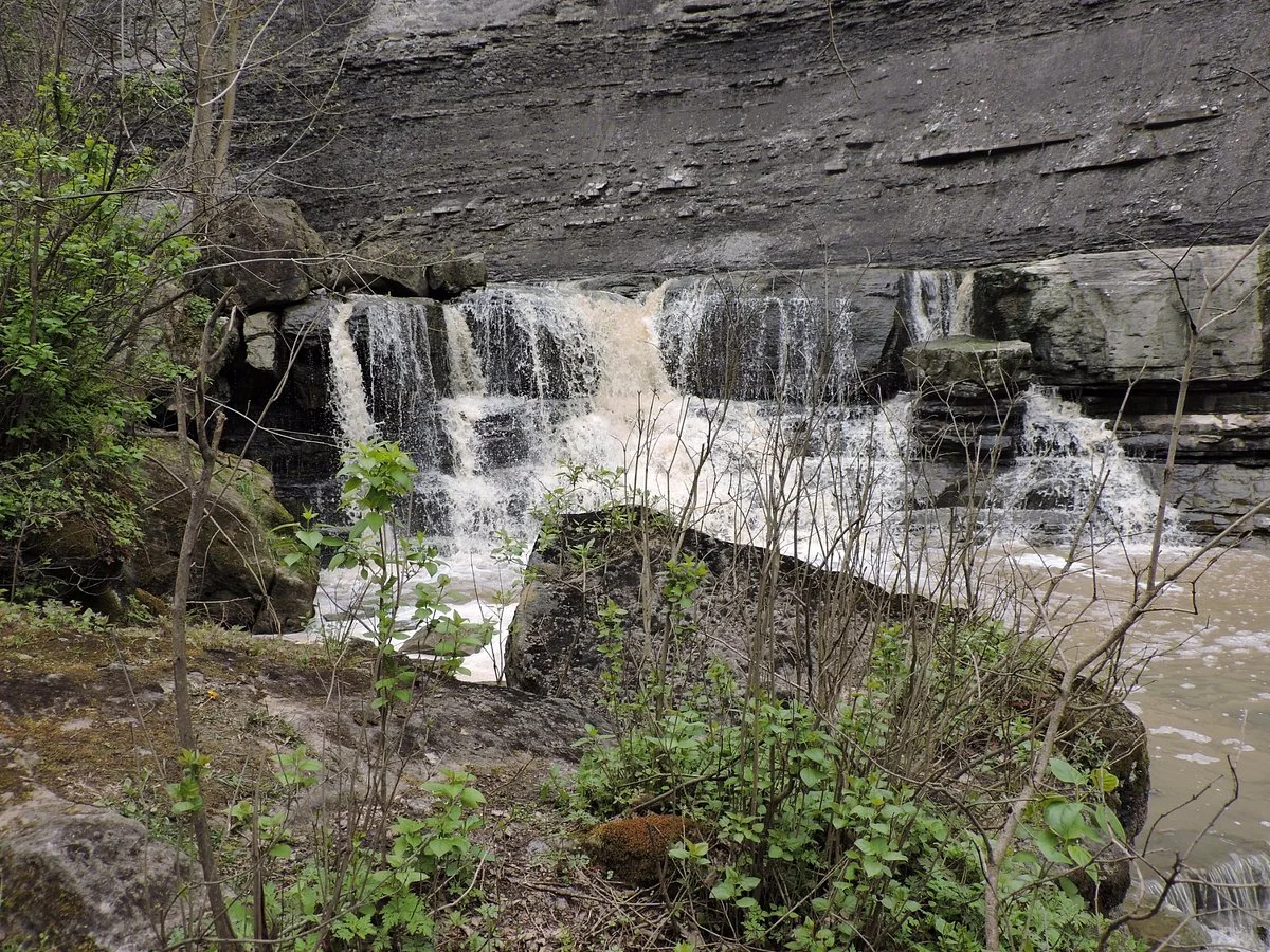 Rockway Conservation Area