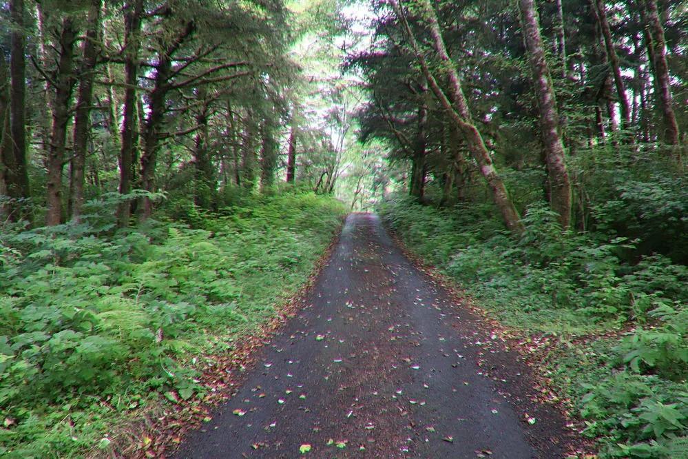 Ocean to Bay Trail