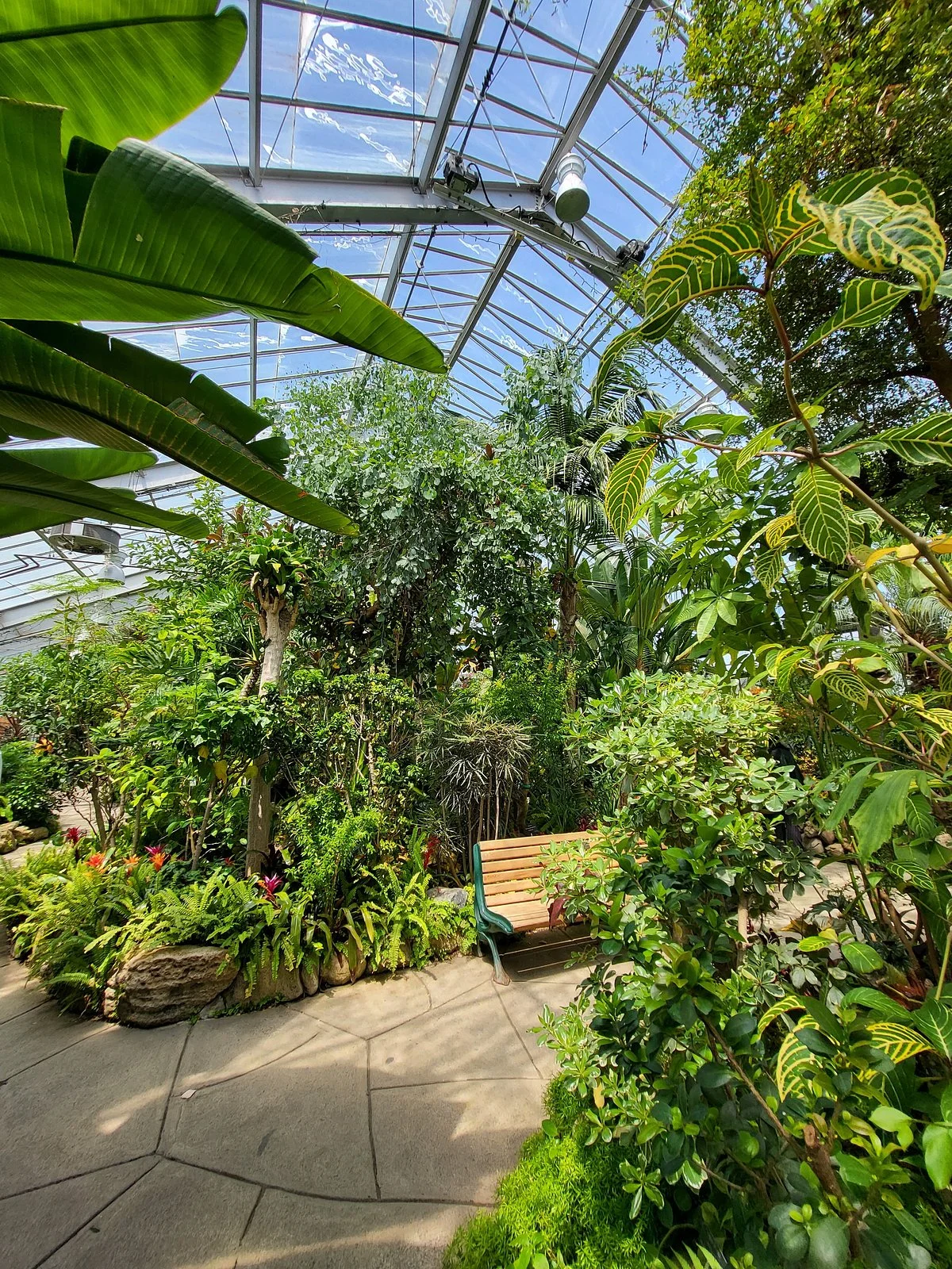 Centennial Park Greenhouse