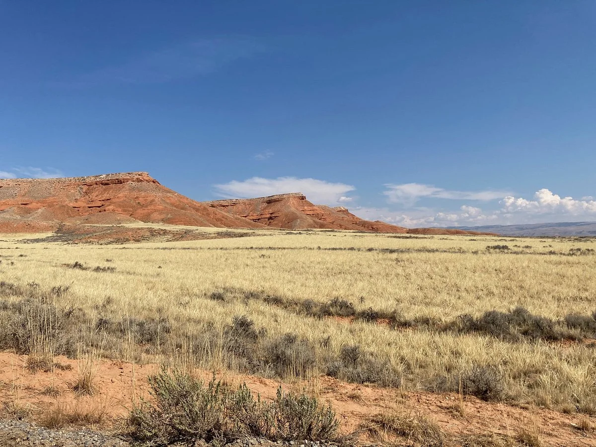 Red Gulch Dinosaur Tracksite