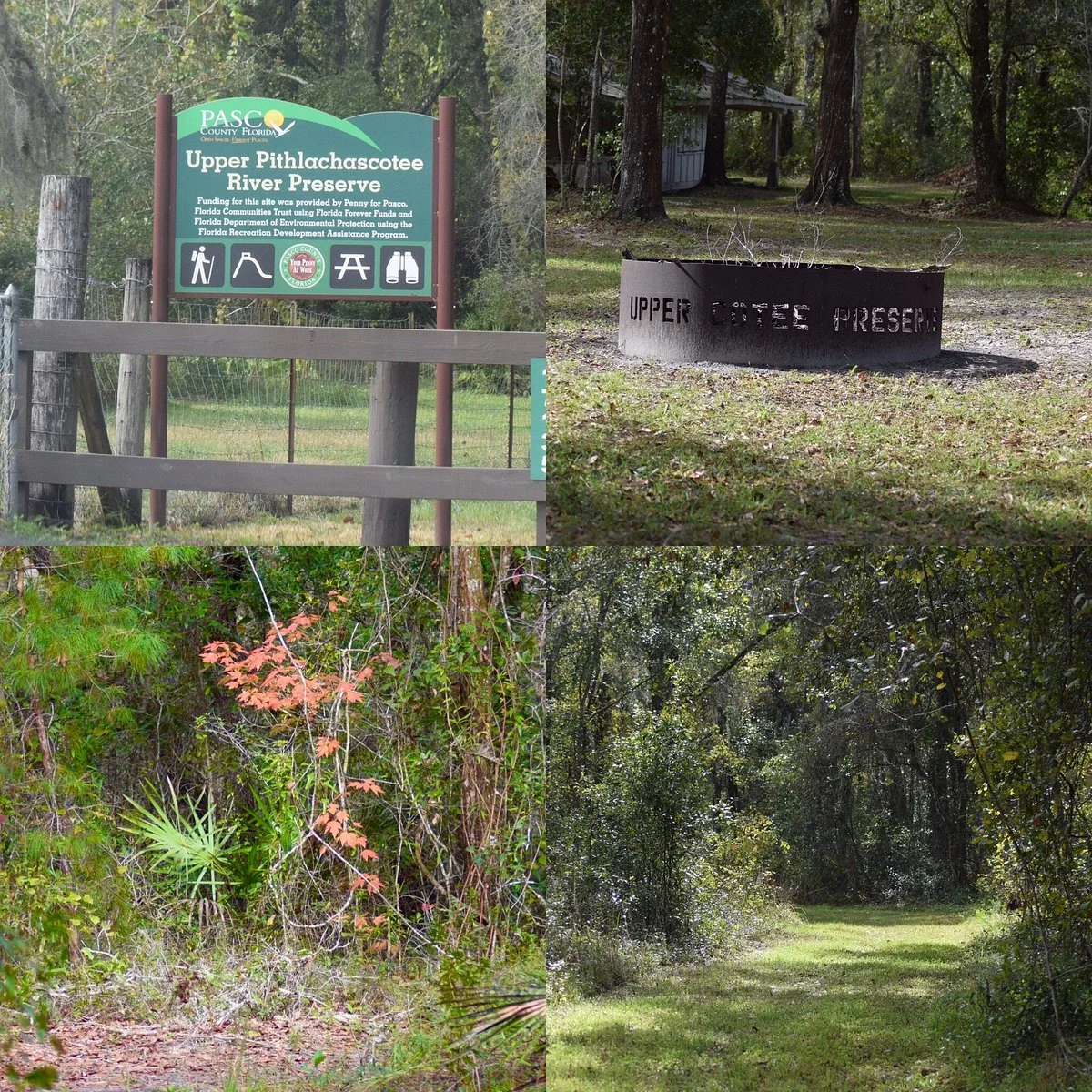 Upper Pithlachascotee River Preserve