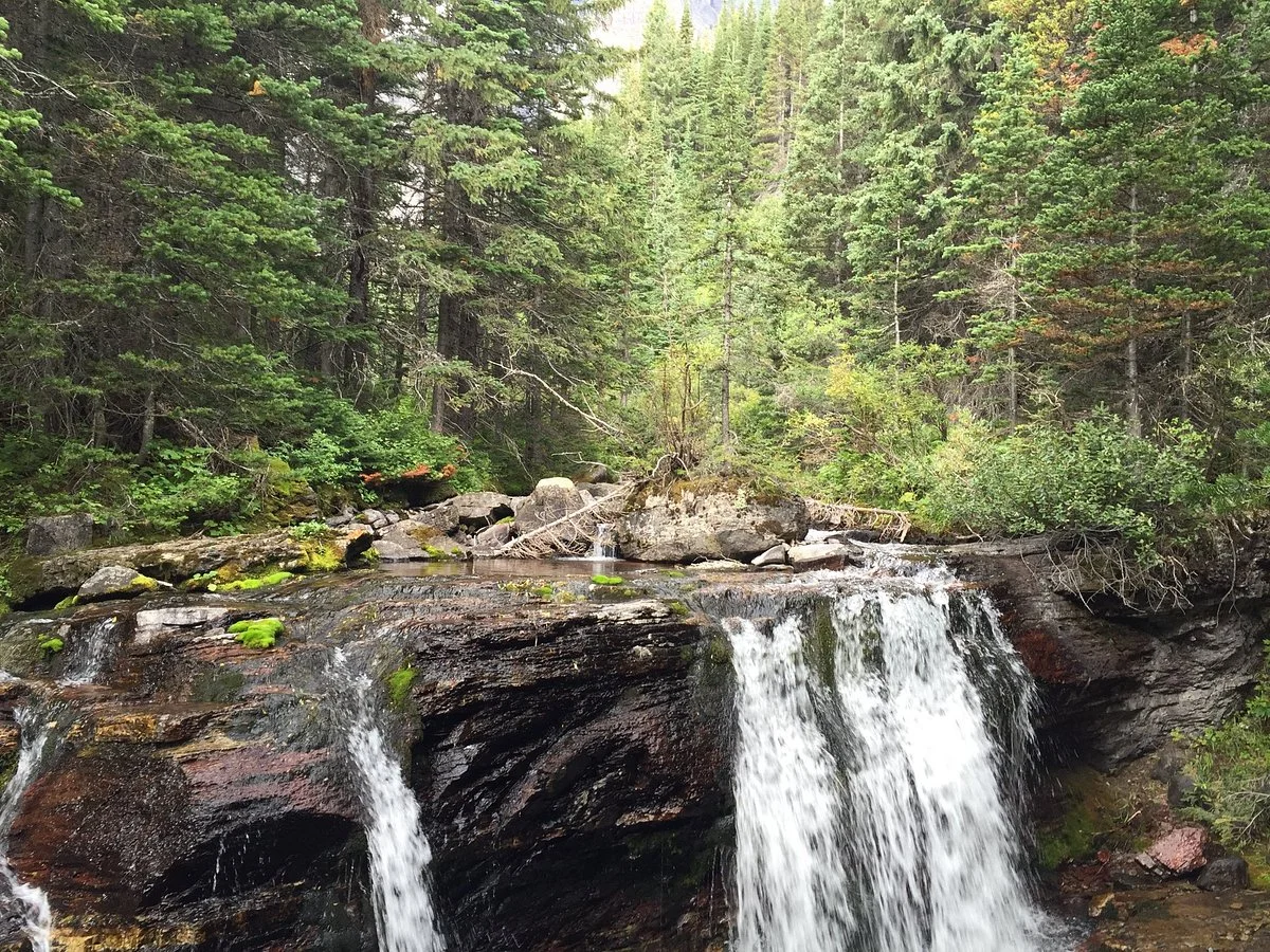 Lineham Creek Trail