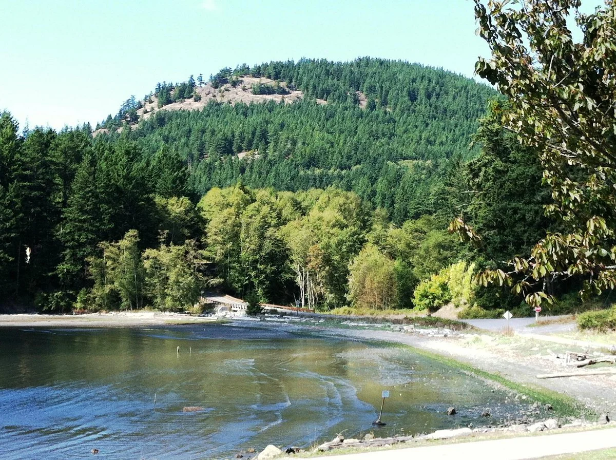 Buck Bay Shellfish Farm