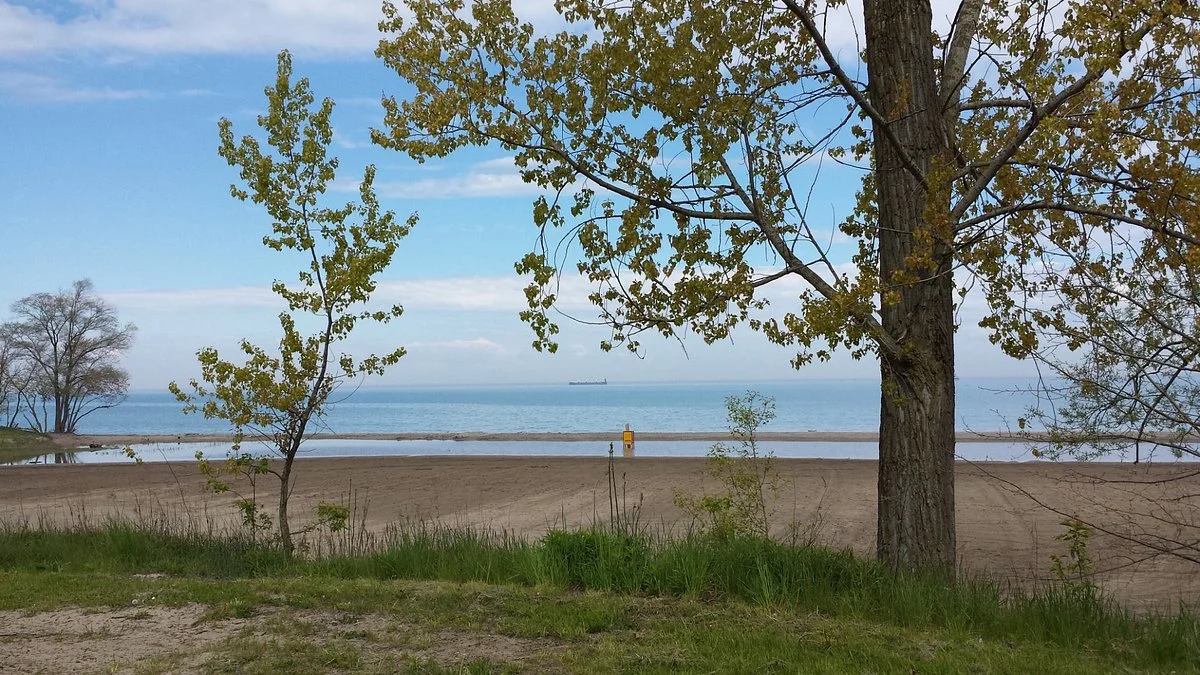 Malcolmson Park
