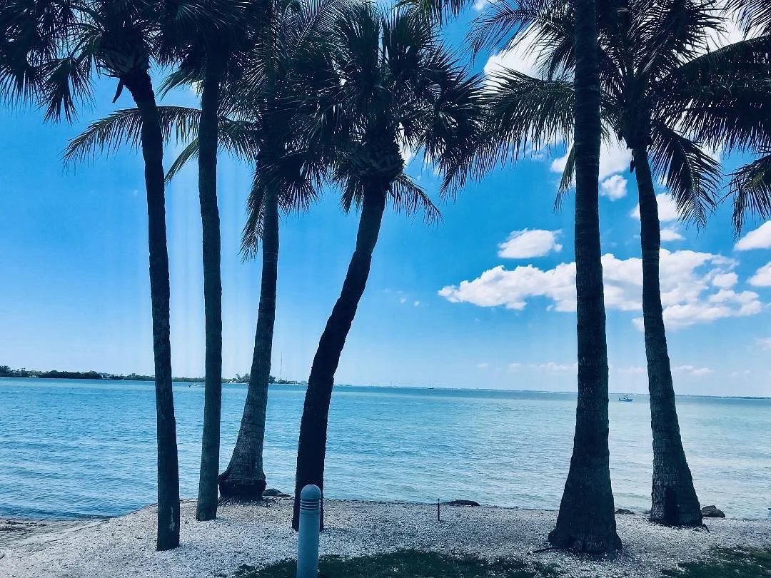 Bird Key Park
