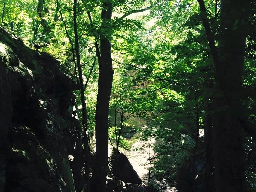 Hinckley Reservation