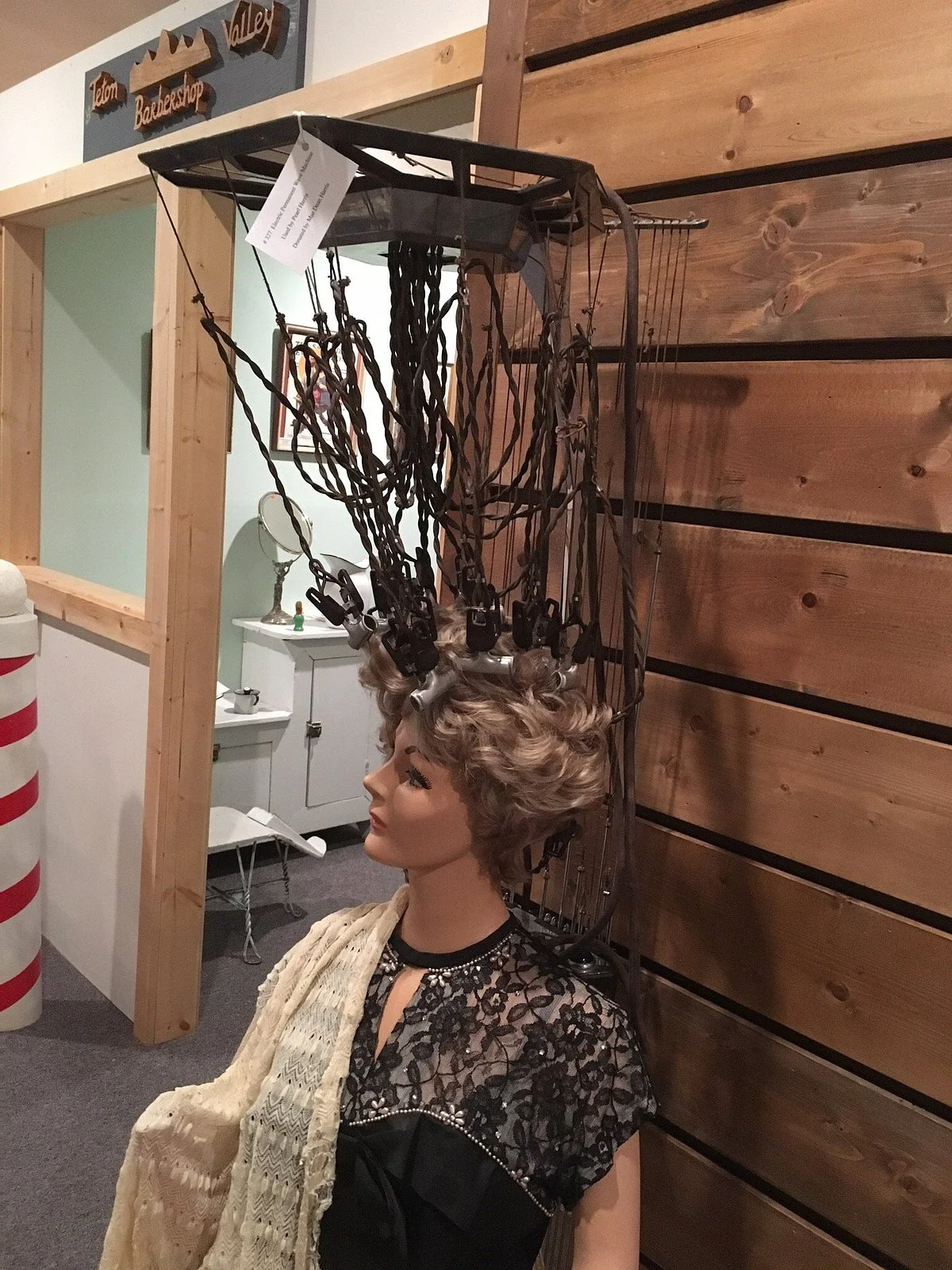 Teton Valley Museum