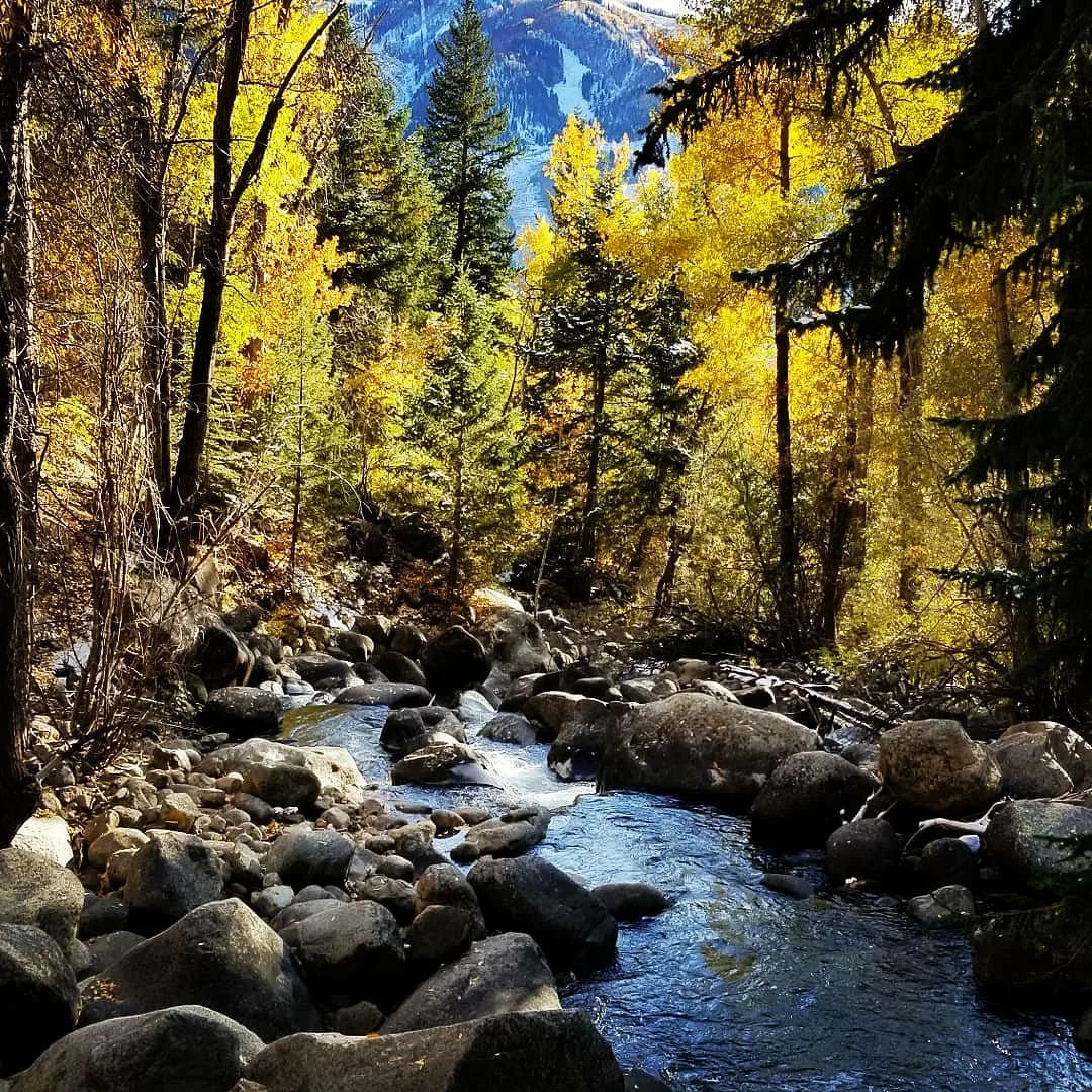 Hunter Creek Trail