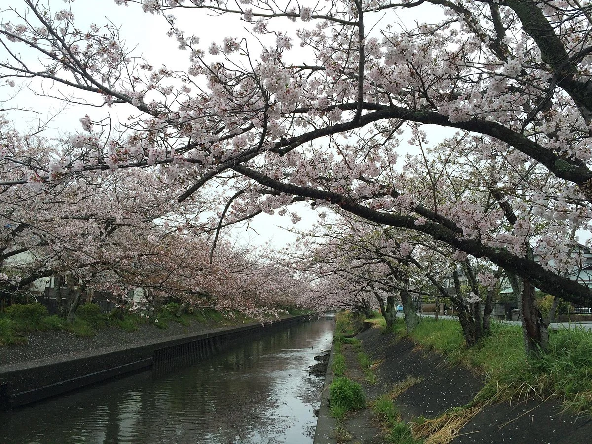 Kiyagawa Ridge