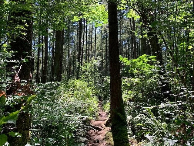 Watershed Park