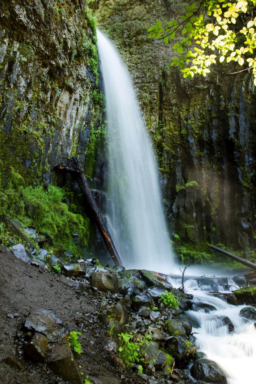 Dry Creek Falls Hike