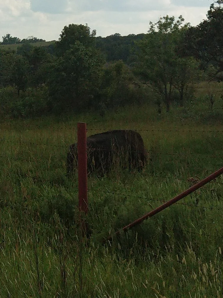 Joseph H. Williams Tallgrass Prairie Preserve