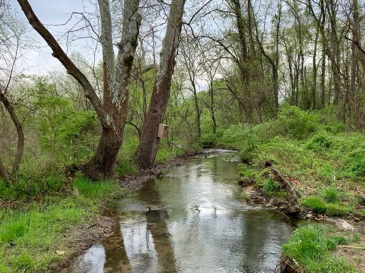 Cool Spring Preserve
