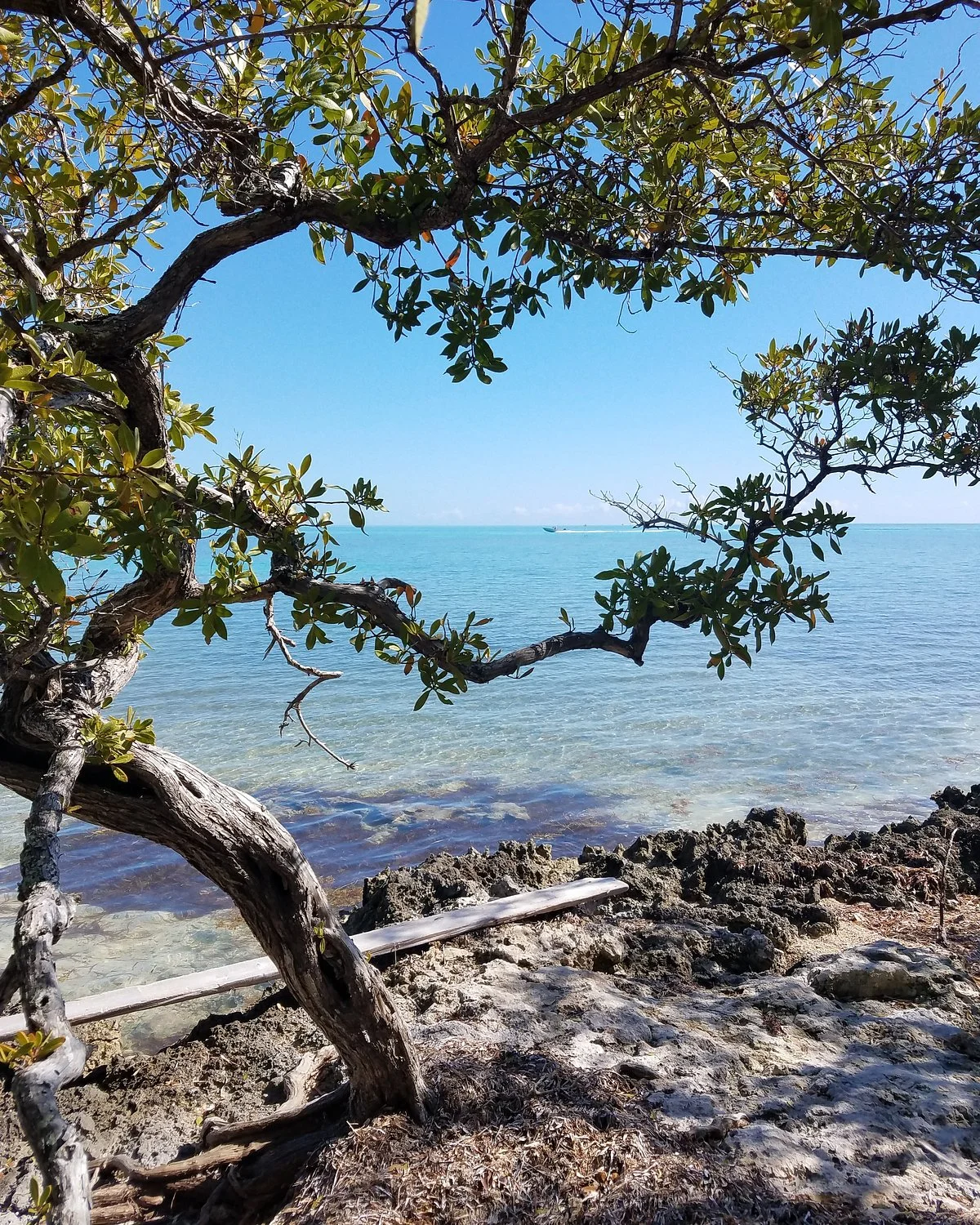 Lignumvitae Key Botanical State Park
