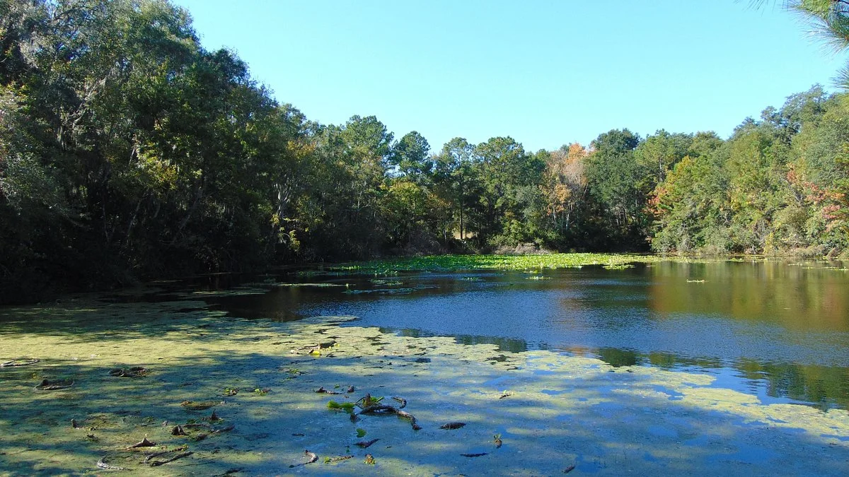 Jacksonville Arboreteum & Gardens