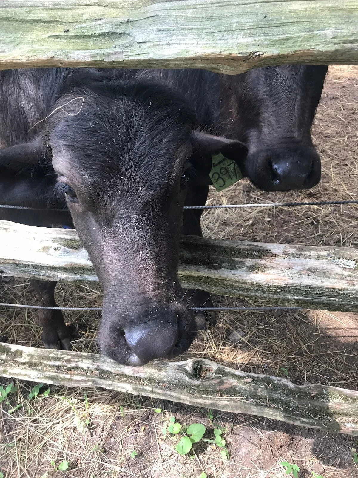 H&H Farms