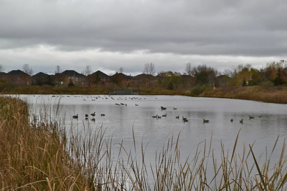 Mackenzie Glen District Park