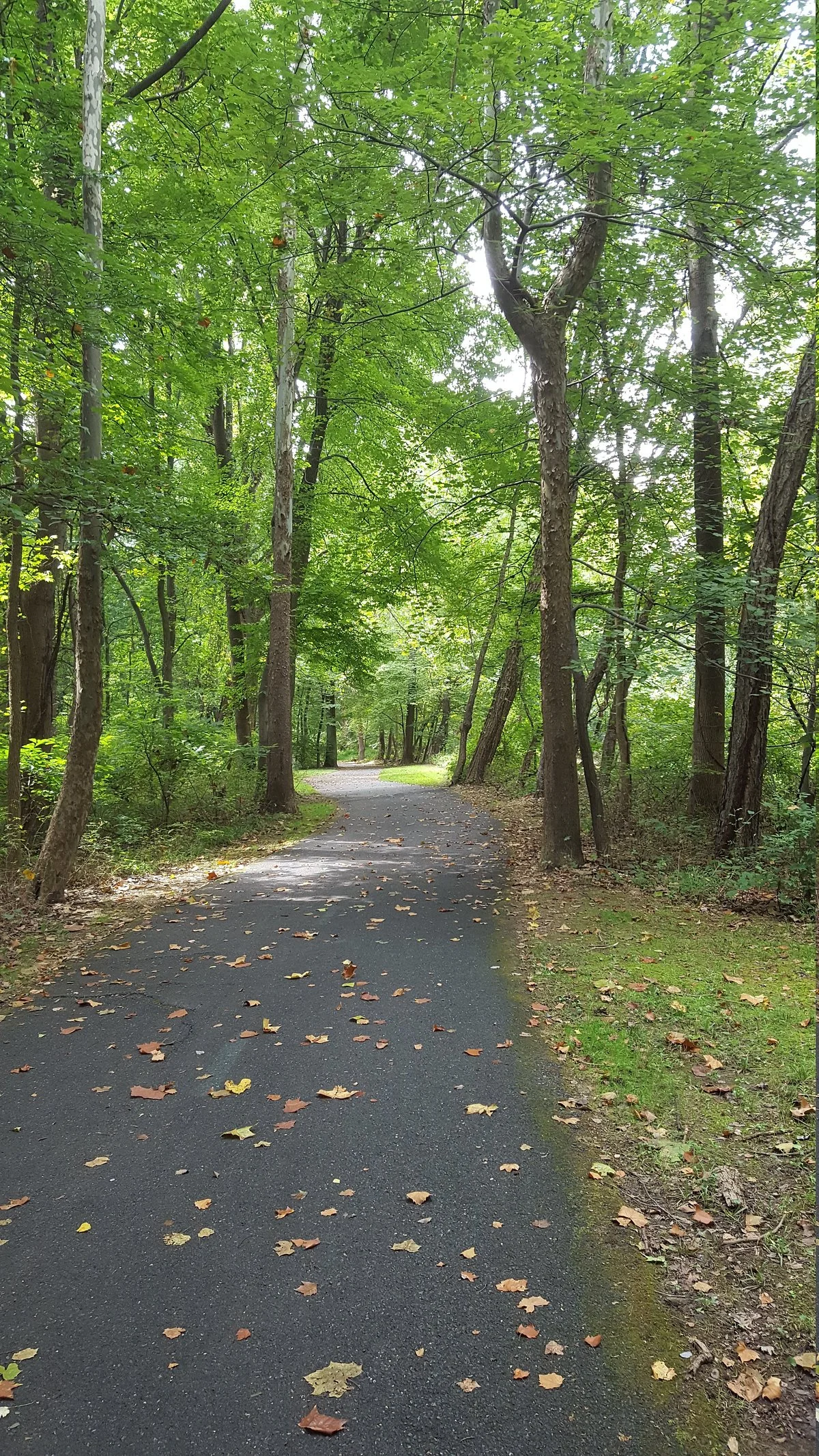Paint Branch Trail (Prince George's County)