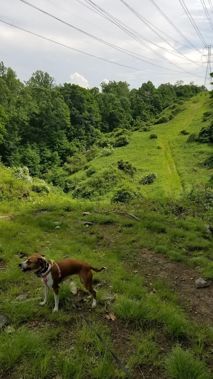 Sprain Ridge Park