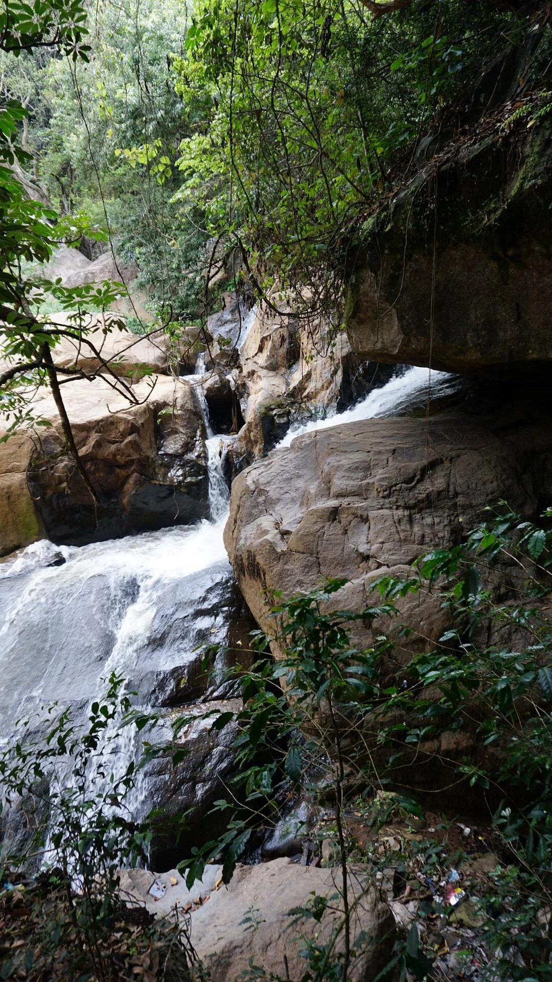 Laws Falls