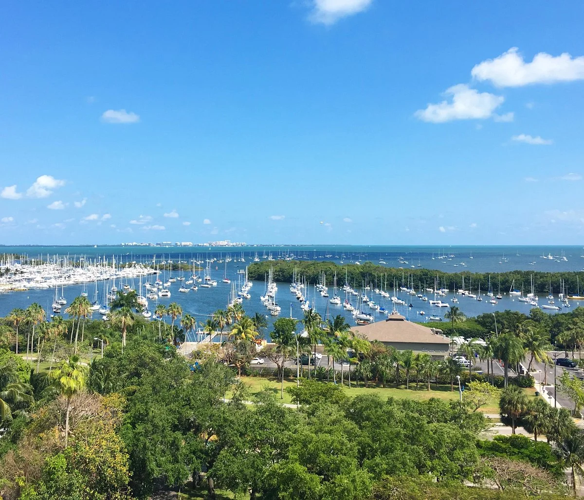 Coconut Grove