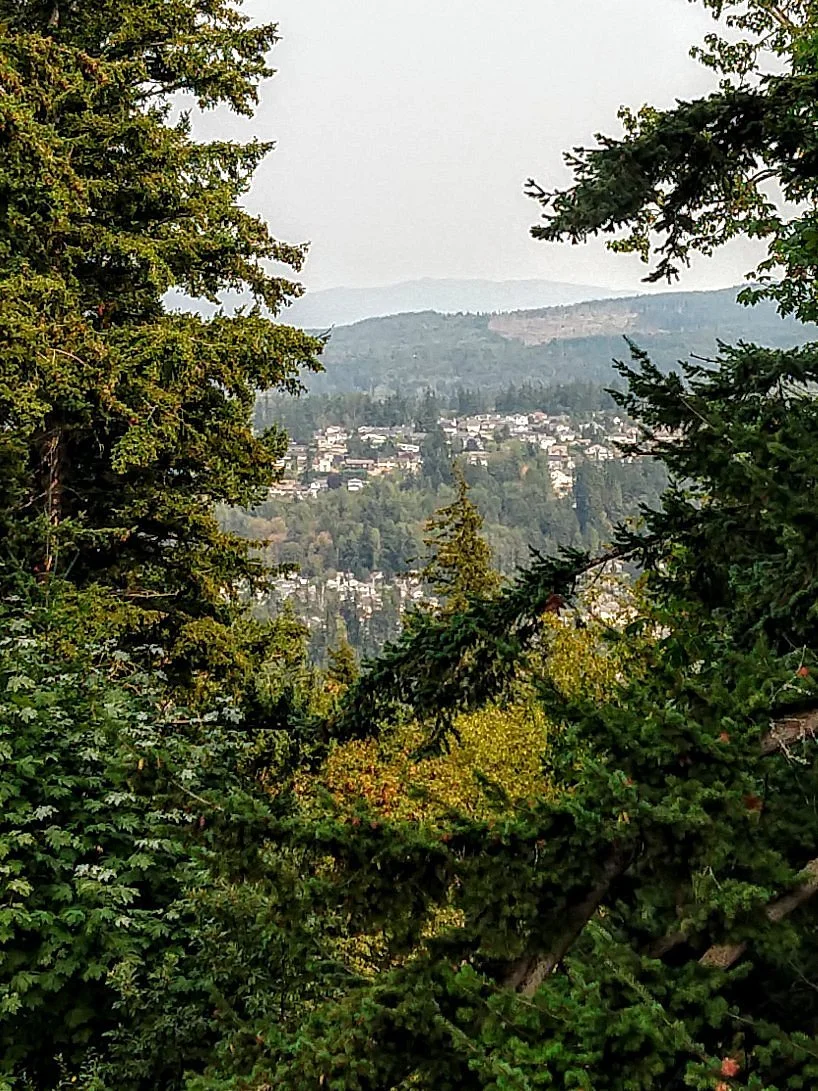 Sehome Hill Arboretum