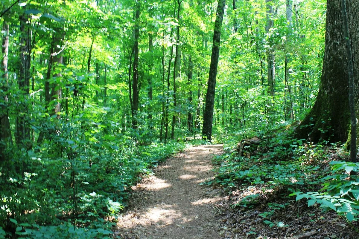 Reynolds Nature Preserve