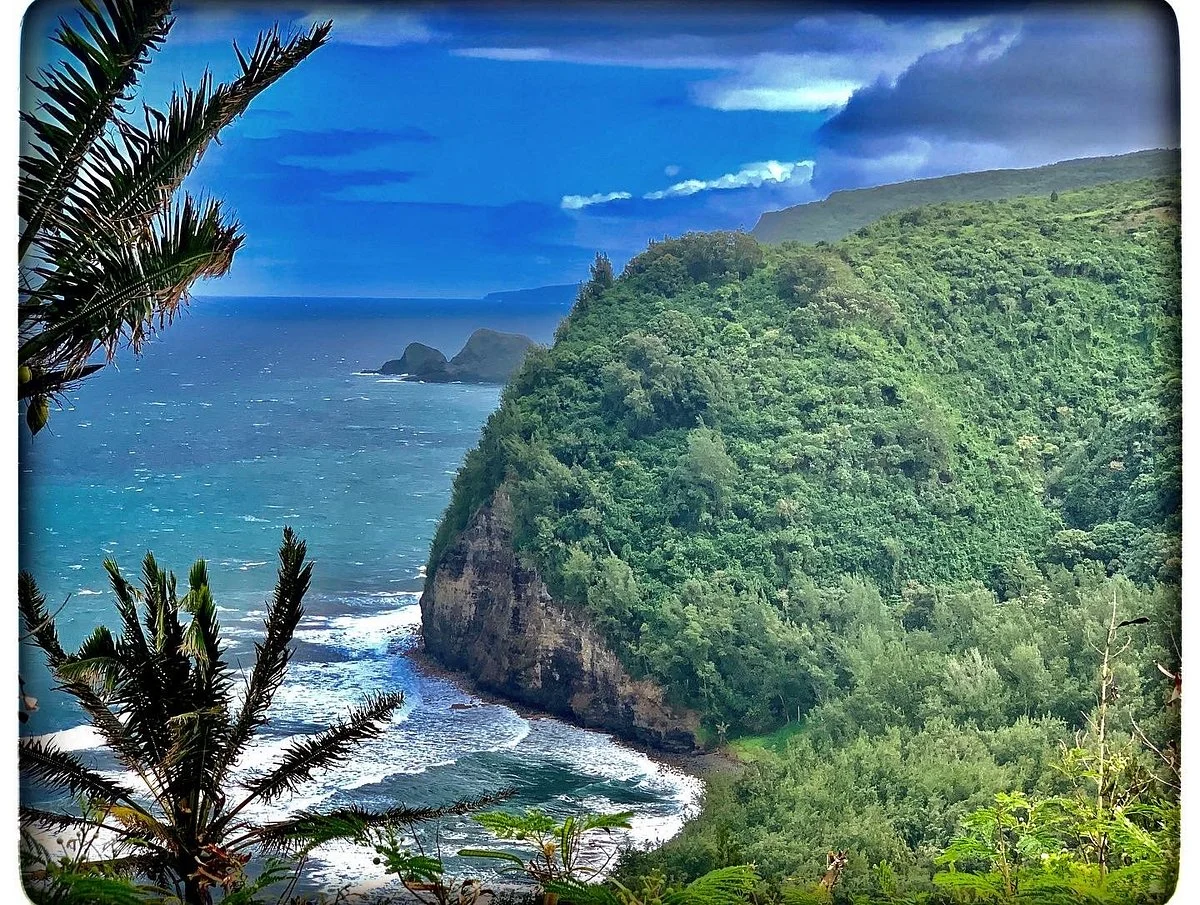 Pololu Trail
