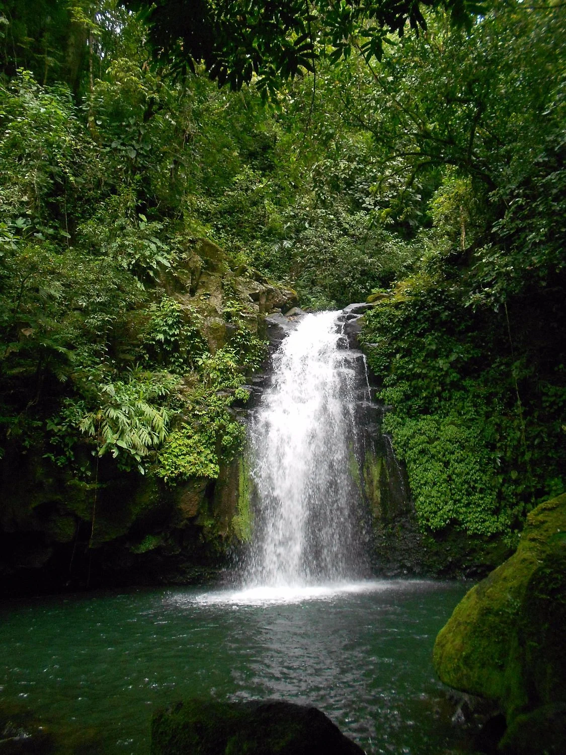 Reserva Ecologica Benito Juarez