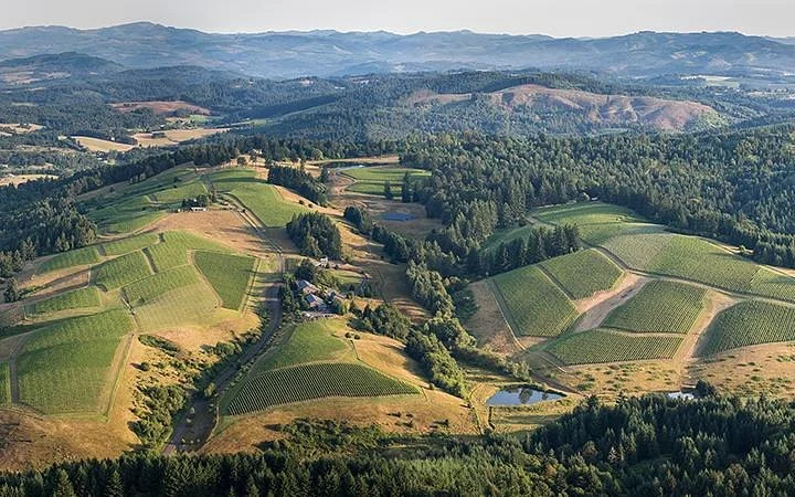 WillaKenzie Estate