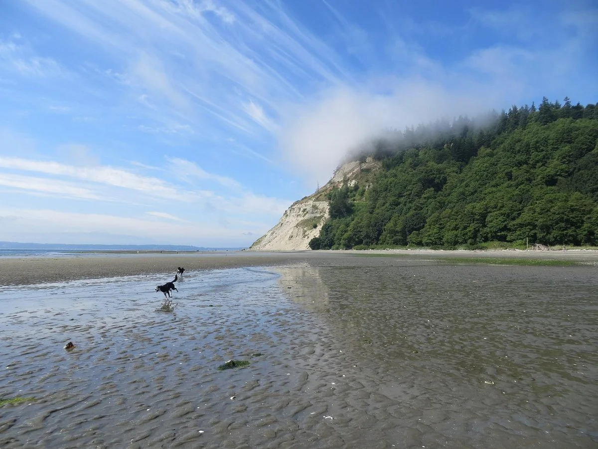 Double Bluff County Park