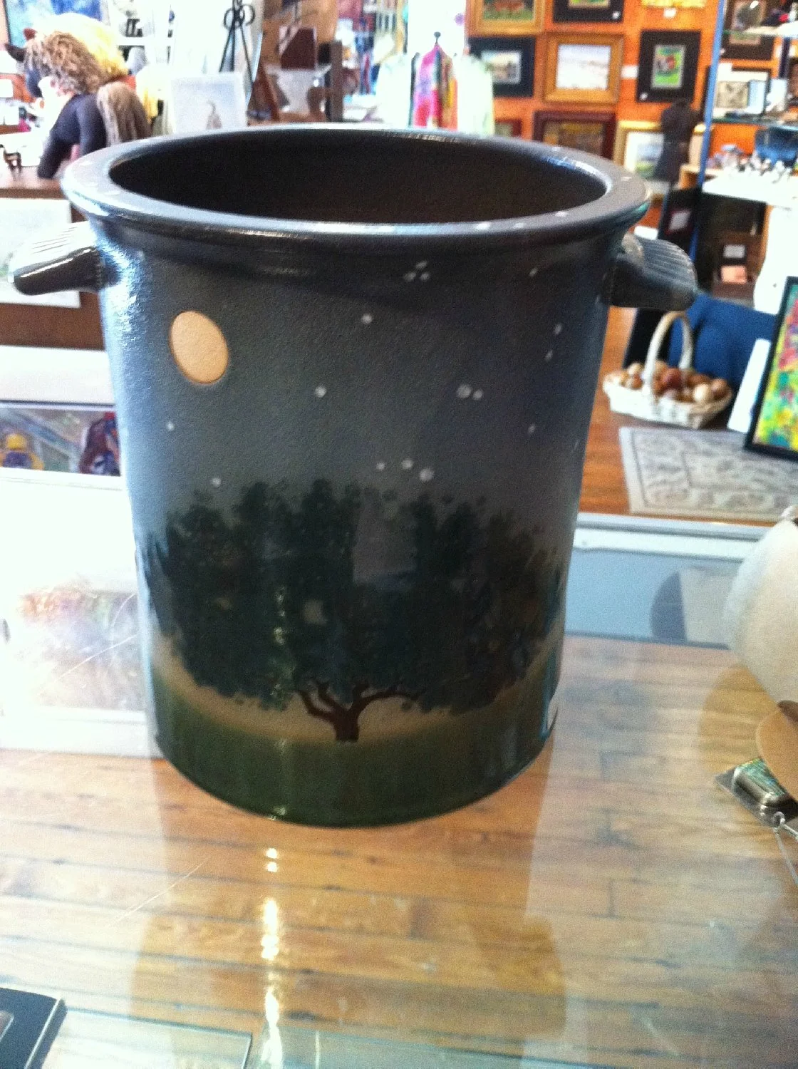 Damselfly Gallery