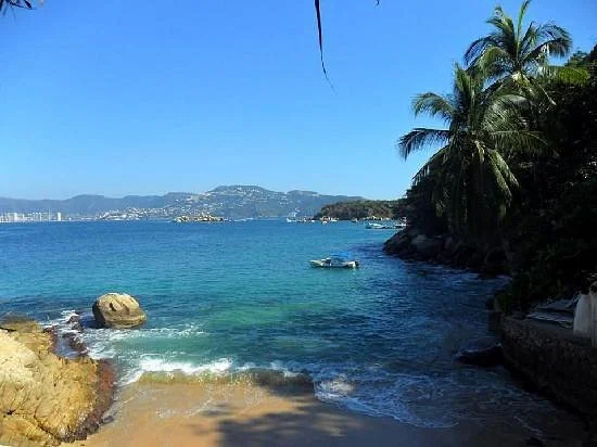 Barco Palao