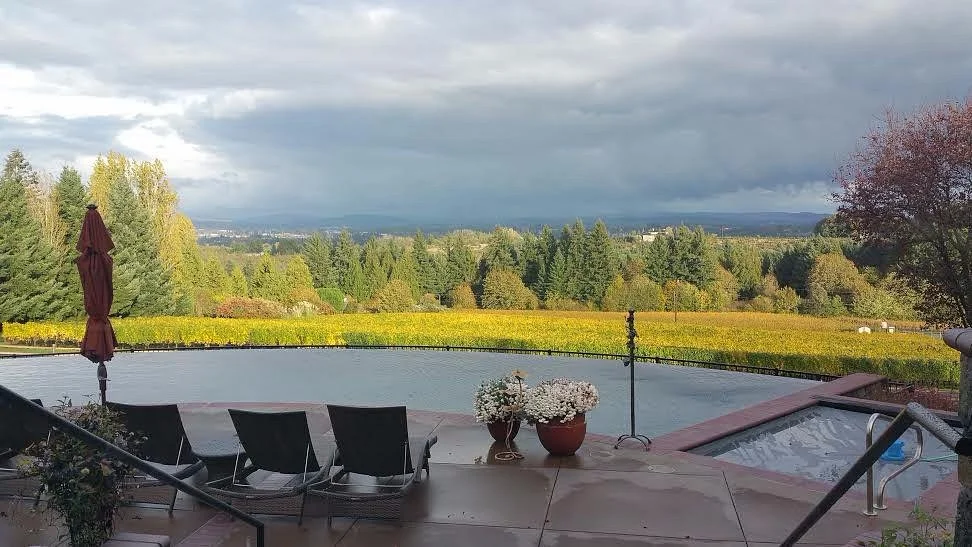 Blakeslee Vineyard Estate