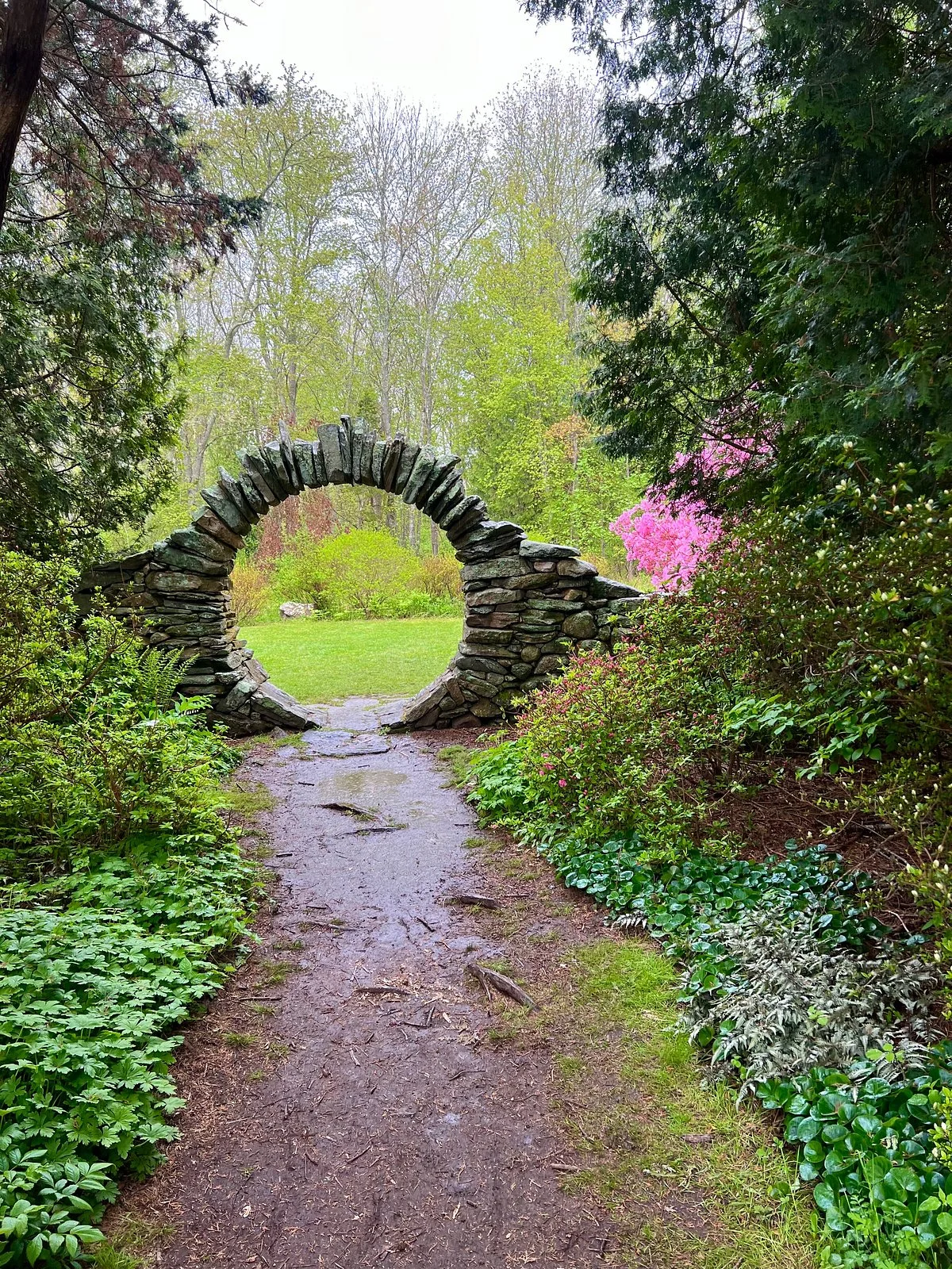 Kinney Azalea Gardens