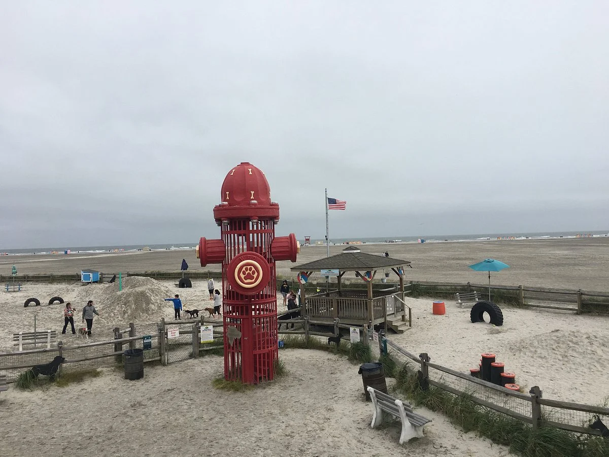 Wildwood Dog Beach
