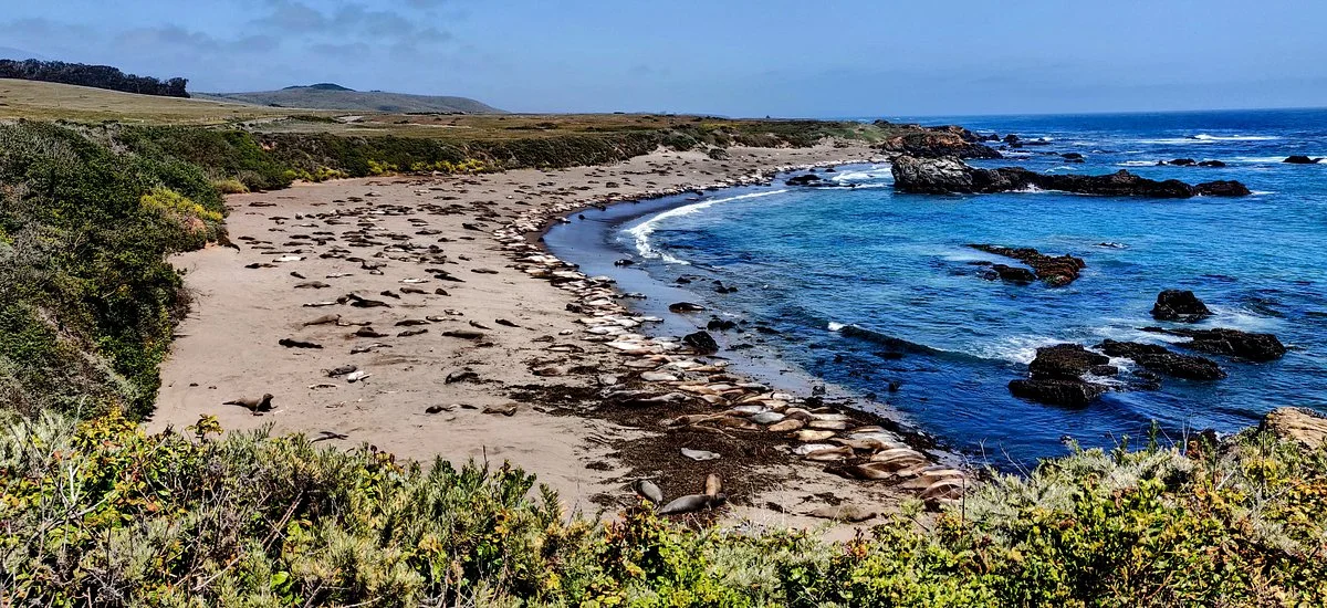 Seal Beach Scenic Overlook