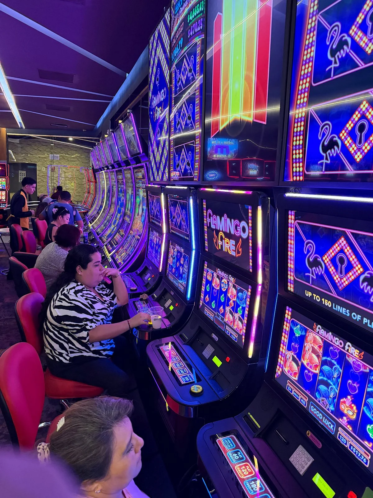 Royal Yak Casino & Sports Book