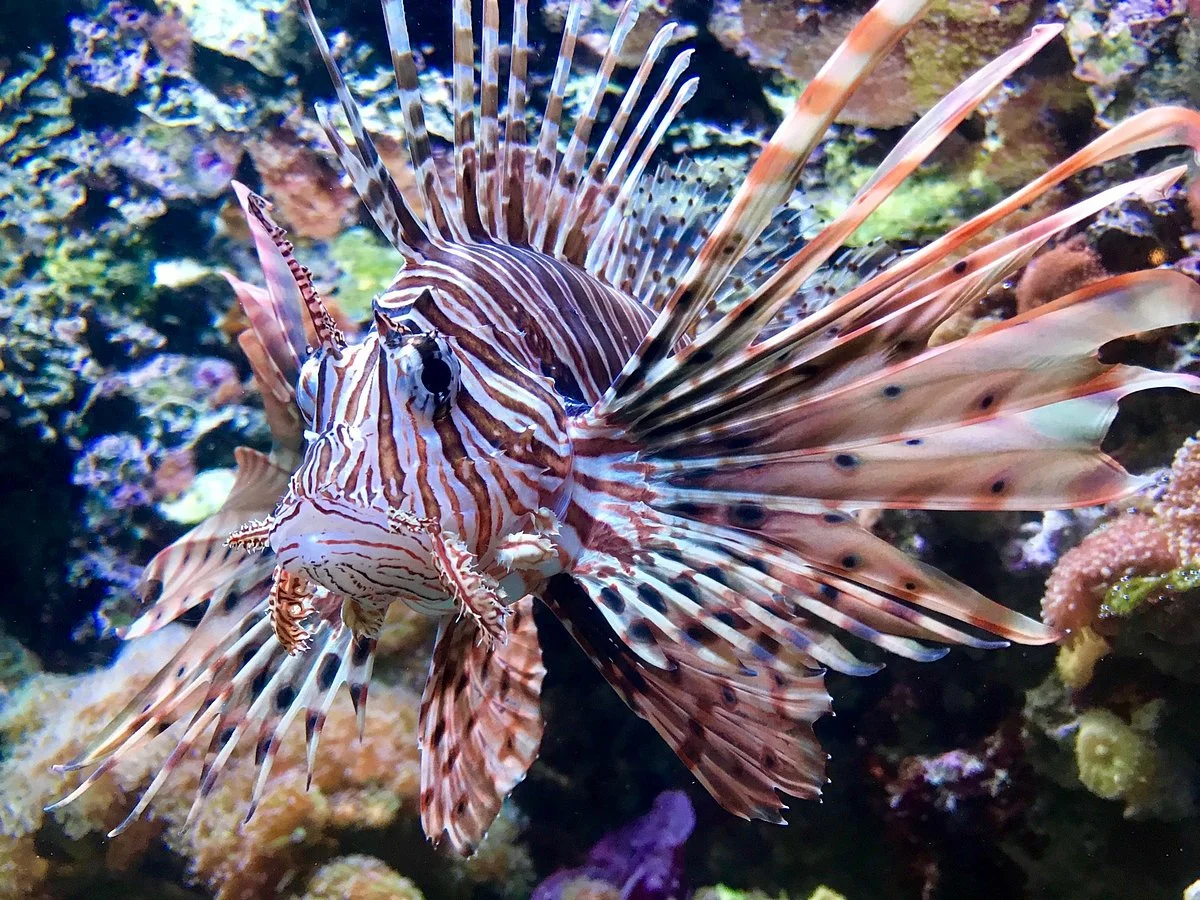 Seattle Aquarium