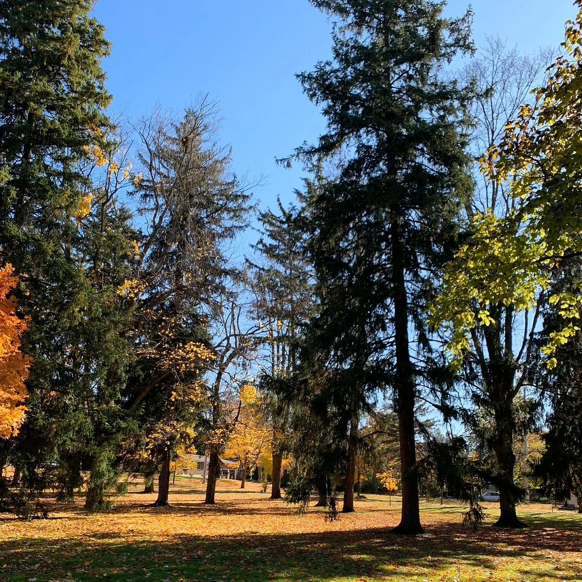 Exhibition Park
