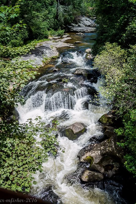 Chattooga River Loop Trail