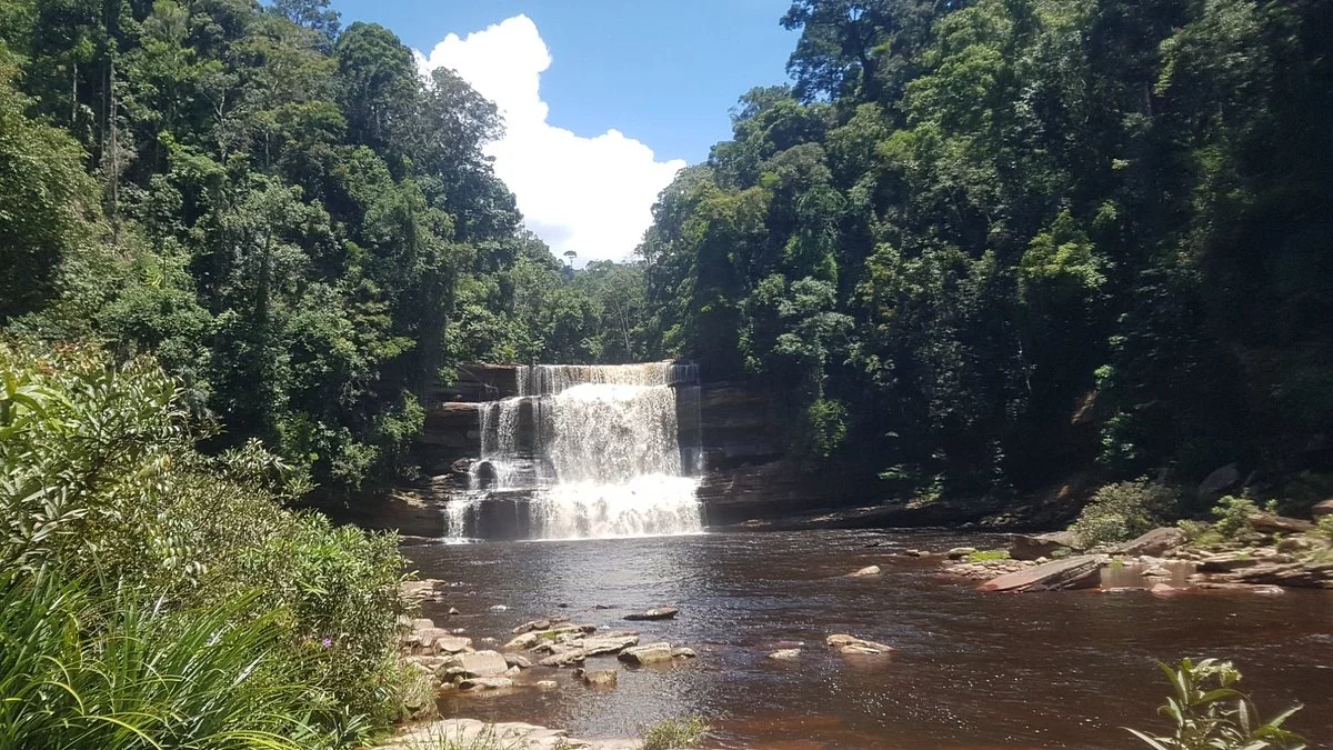 Maliau Basin Conservation Area