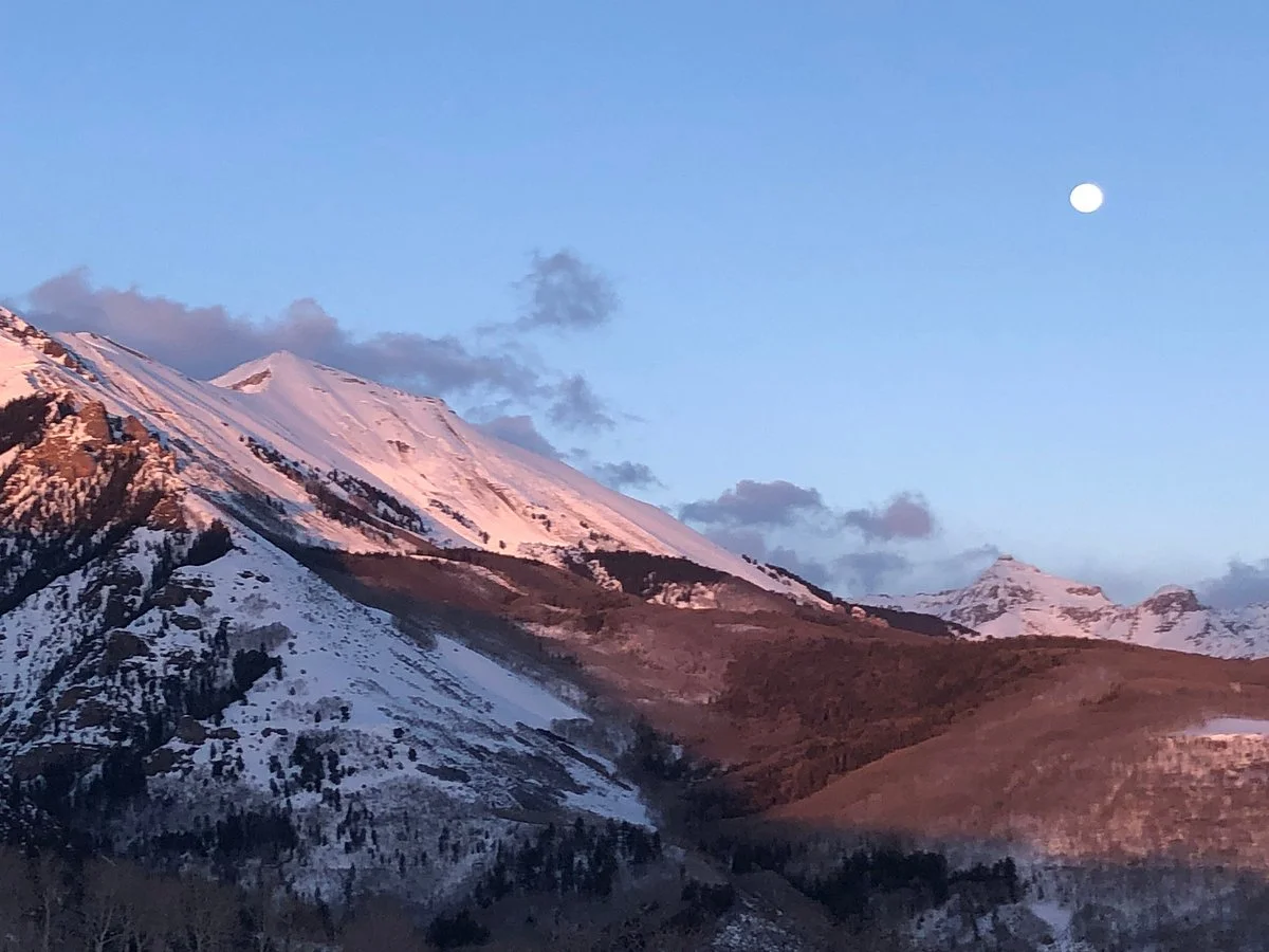 Telluride Sleighs and Wagons