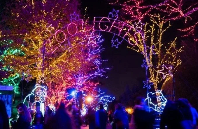 ZooLights