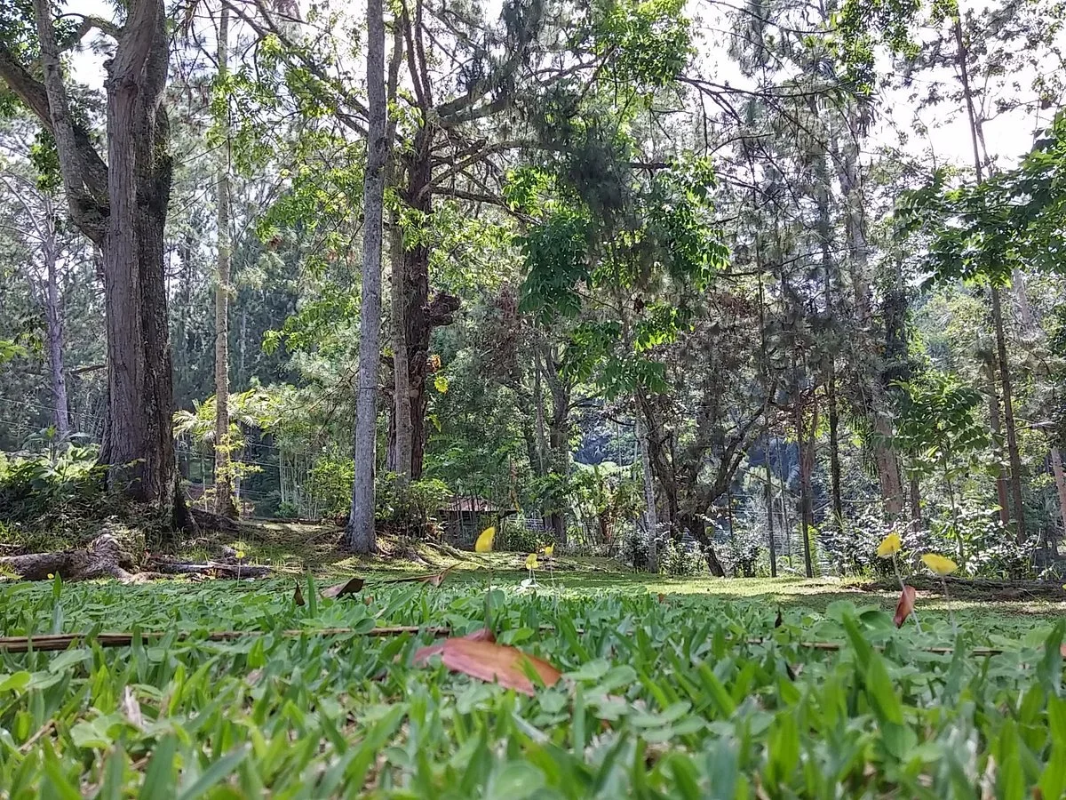 Loleng's Mountain Spring Resort
